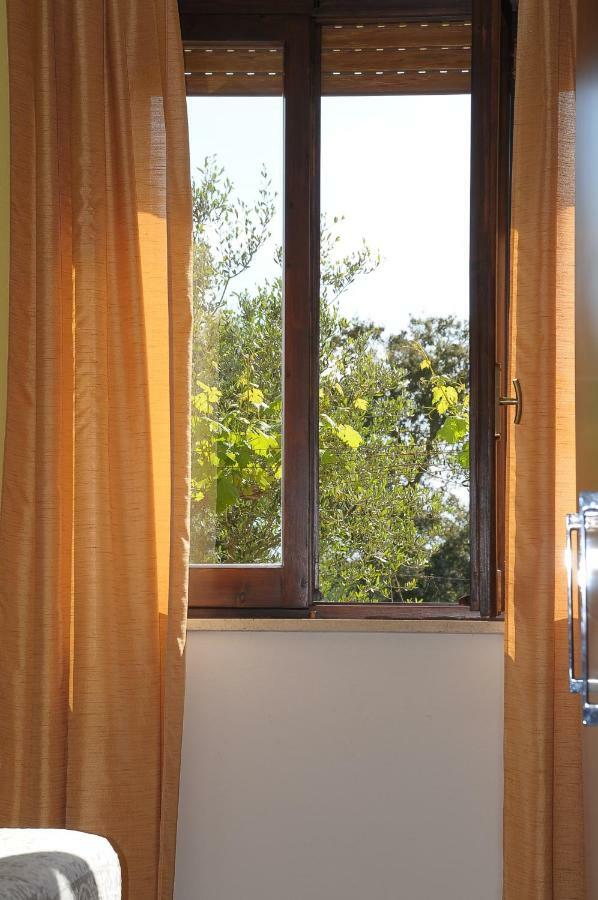 Il Ciliegio Apartment Monti Luaran gambar